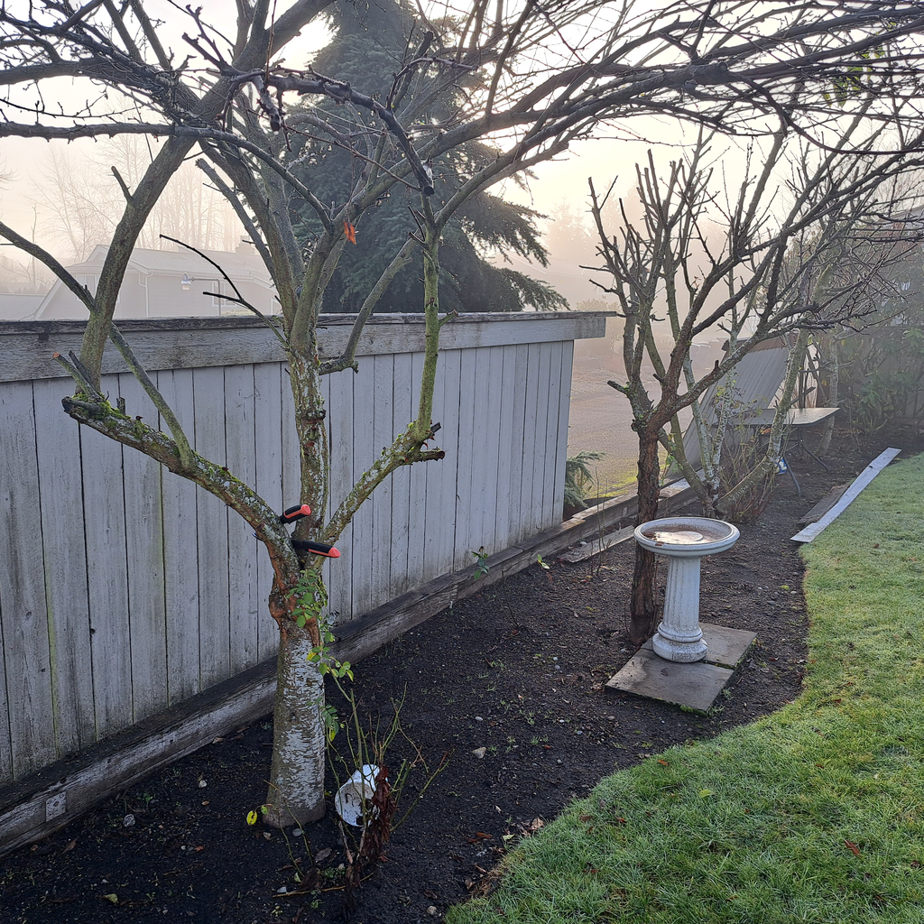Old fence condition 1<br />new fencing in Newcastle
