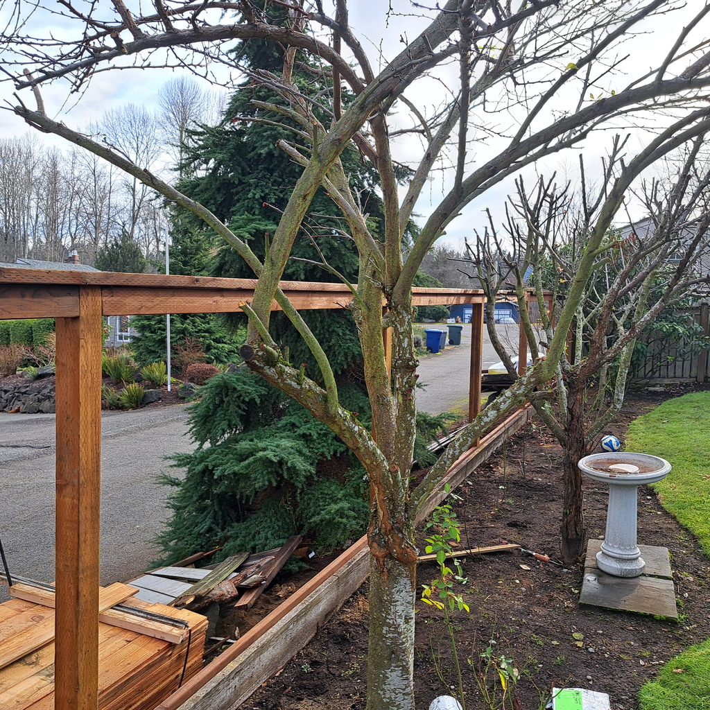 New fence framing 1<br />new fencing in Newcastle